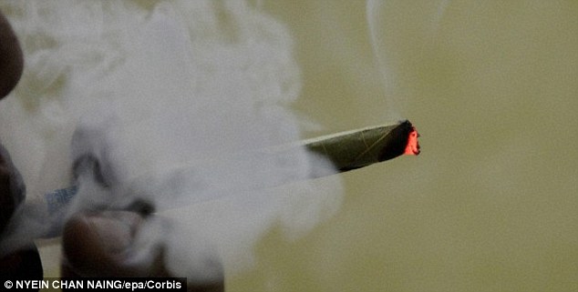 Ganja Dikonsumsi, Ahok Kenakan Sanksi Berat 19 PNS DKI